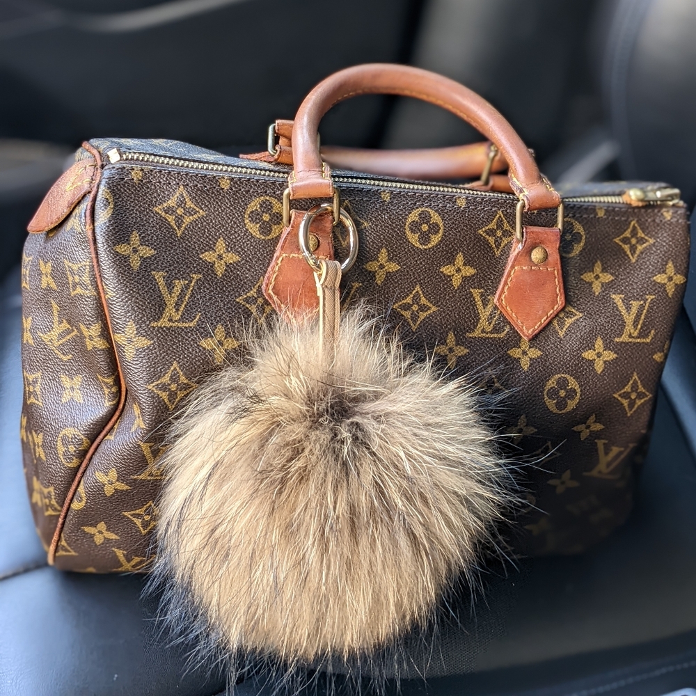 Louis Vuitton Speedy 30